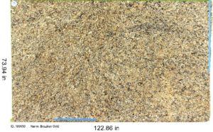 Granite Color Brazilian Gold